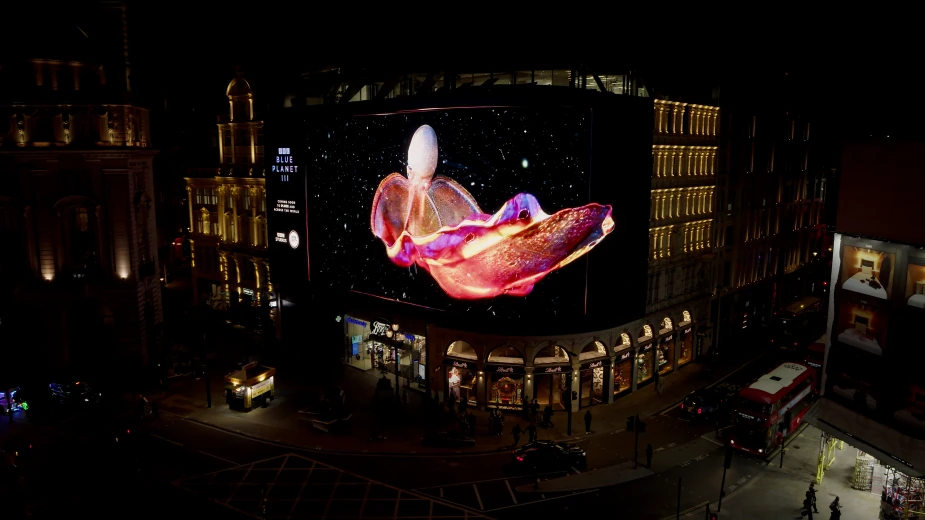 Blue Planet III marine imagery displayed across the giant Piccadilly Lights digital screen in central London during the BBC Studios global premiere takeover.