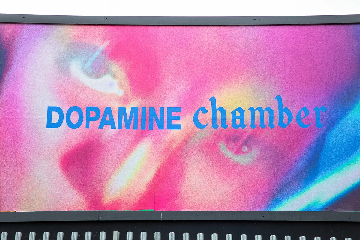 Close-up of the Fontaines D.C. Dopamine Chamber outdoor creative featuring surreal pink and blue portrait artwork.
