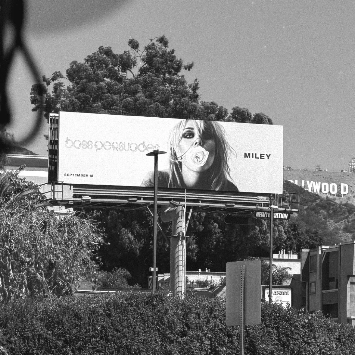 Black-and-white Miley Cyrus Bass Persuades billboard in Hollywood featuring a white rose over her mouth.